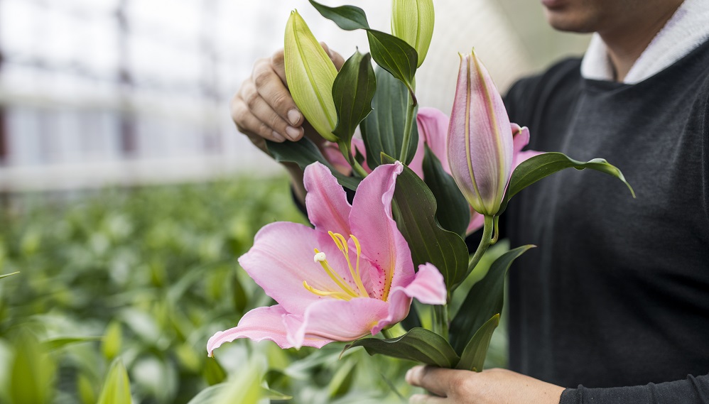 コラム Today S Flower ユリ 花 フラワーギフトなら青山フラワーマーケット 青山フラワーマーケット公式 花屋 花 花束 フラワーギフト 通販