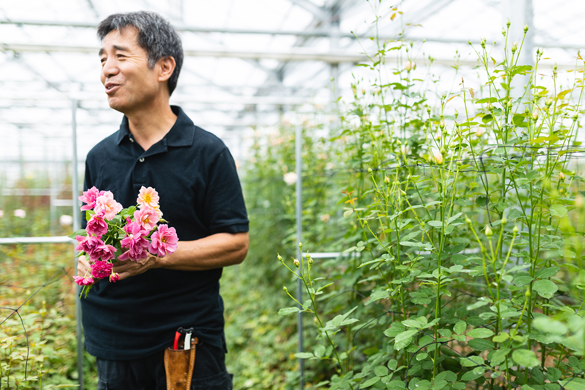 Rose Farm Keiji ローズファームケイジ生産者レポート 花 フラワーギフトなら青山フラワーマーケット 青山フラワーマーケット公式 花屋 花 花束 フラワーギフト 通販
