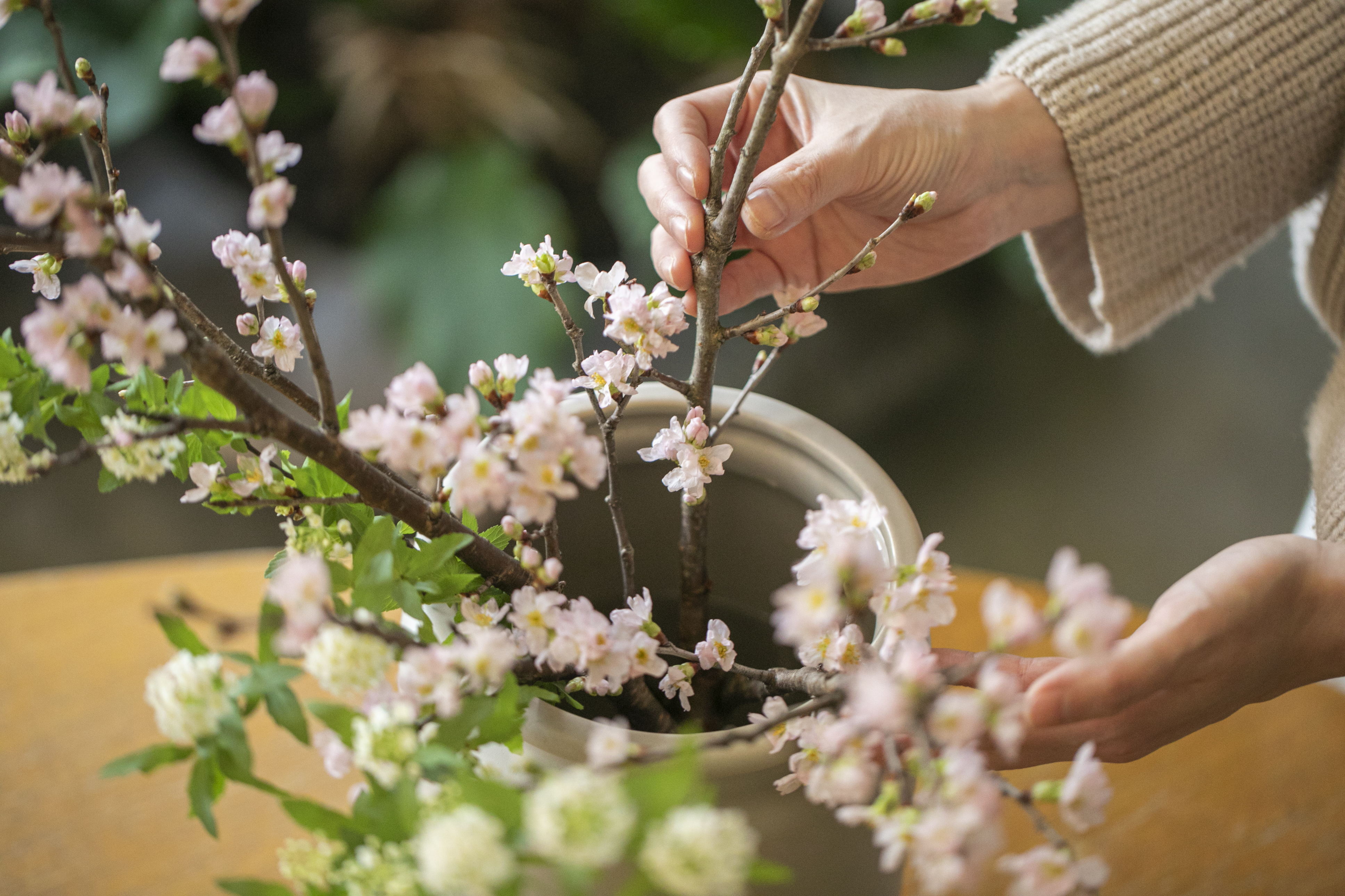 桜 コデマリ One Flower One Green 青山フラワーマーケット公式 花屋 花 花束 フラワーギフト 通販