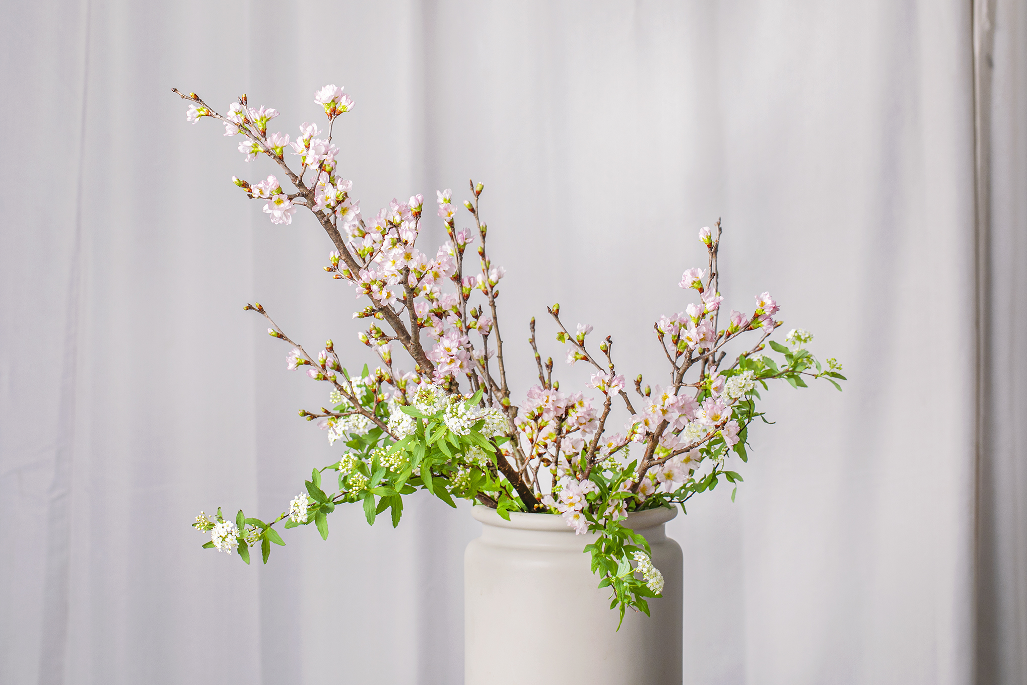 桜 コデマリ One Flower One Green 青山フラワーマーケット公式 花屋 花 花束 フラワーギフト 通販