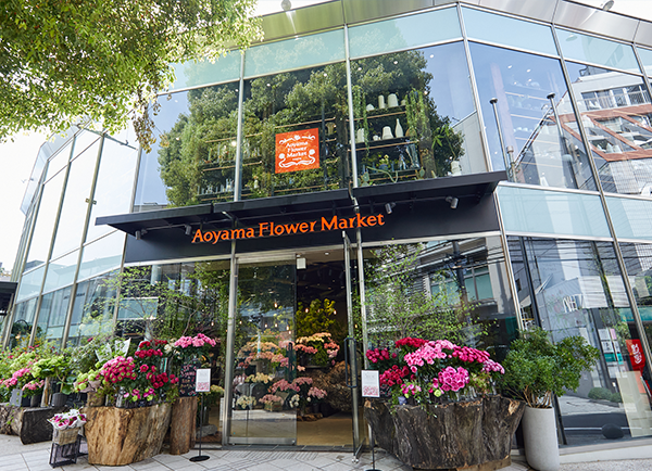 青山フラワーマーケット 南青山本店 青山フラワーマーケット 南青山本店