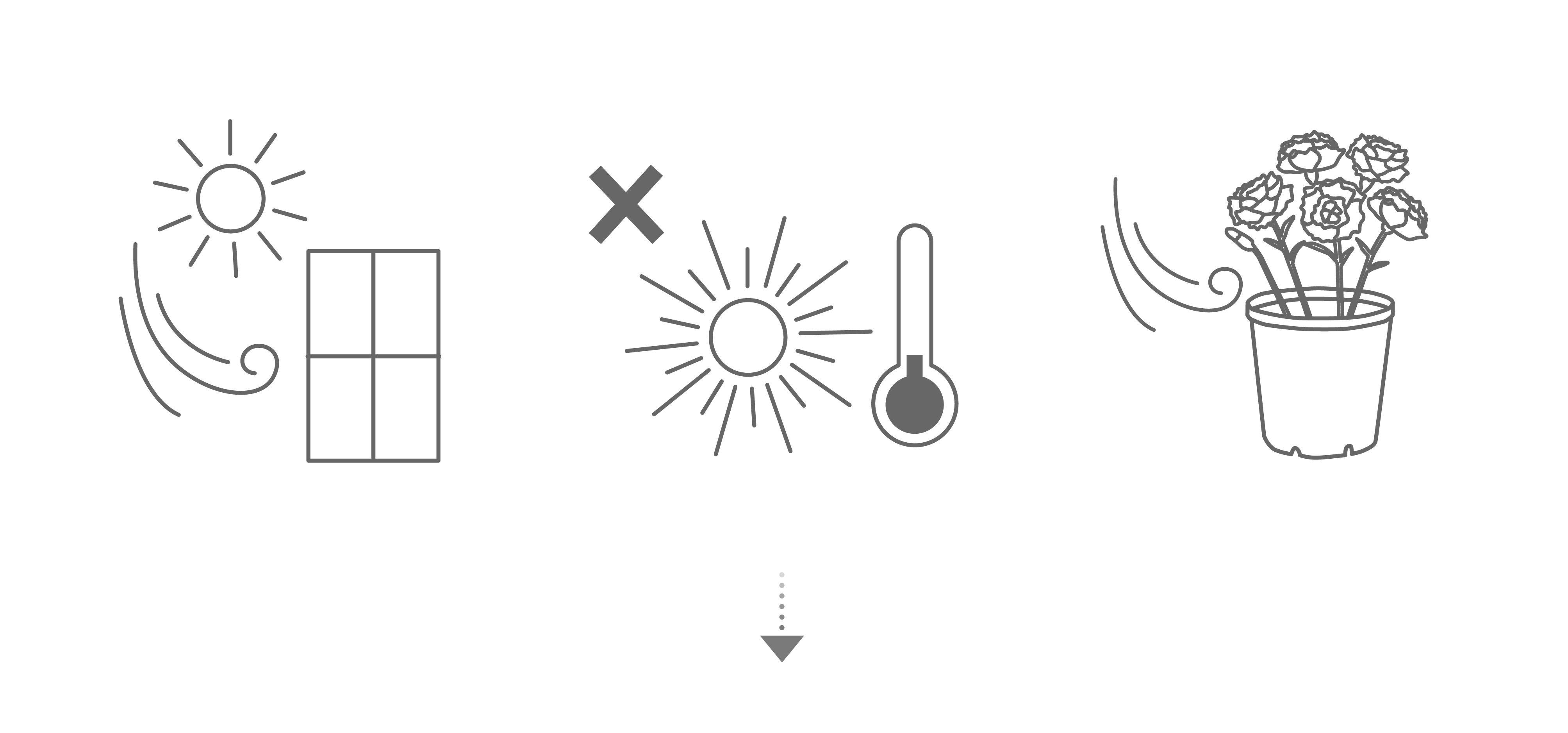 花 フラワーギフトなら青山フラワーマーケット コラム 花鉢のお手入れ処方箋 トラブル対処法とケア方法 青山フラワーマーケット公式 花屋 花 花束 フラワーギフト 通販