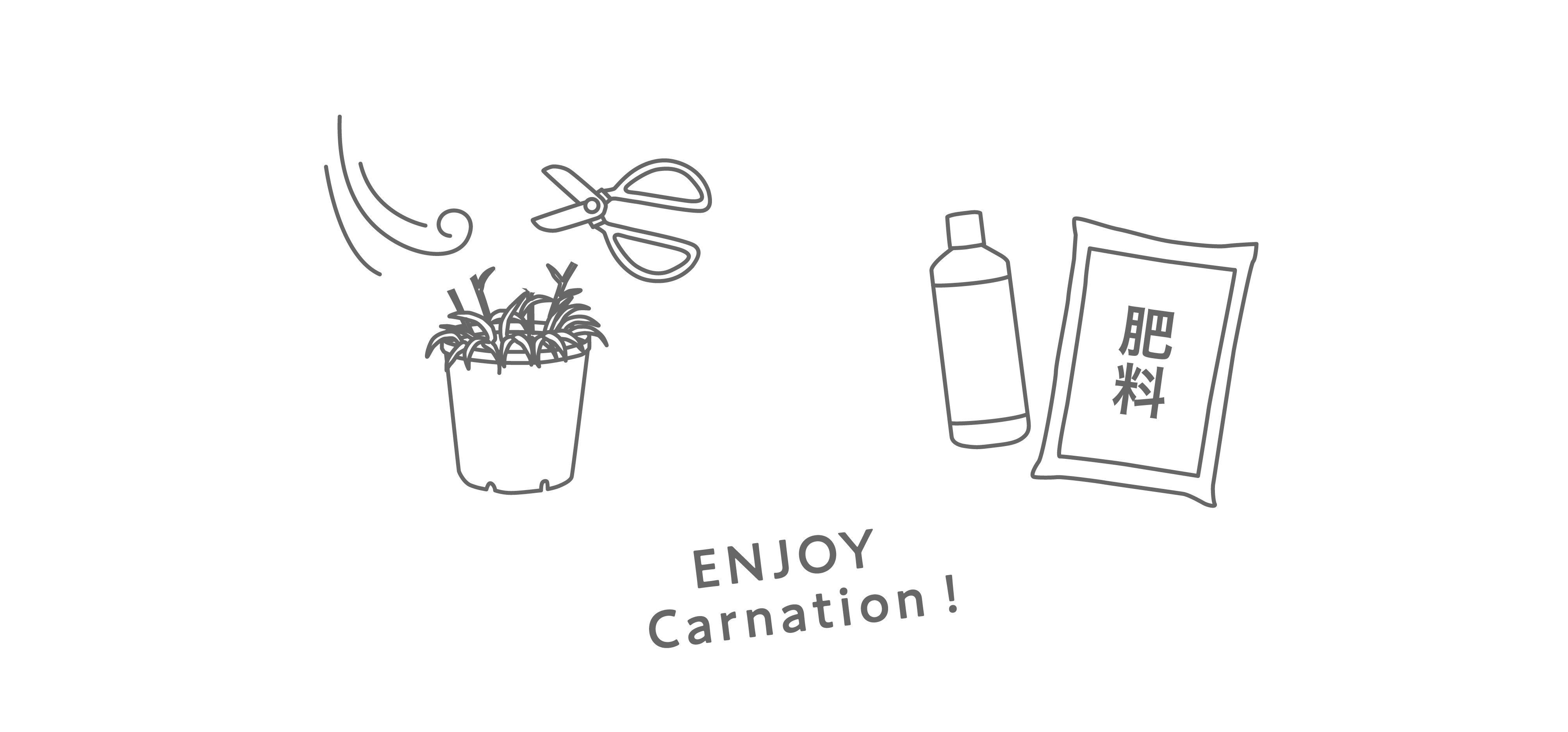 母の日ギフトの花鉢をより長く楽しむために | 青山フラワーマーケット