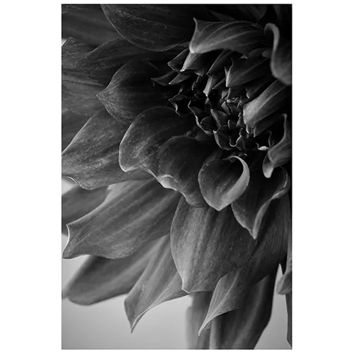 青山フラワーマーケット | 15,000～29,999円の商品 | 青山フラワー