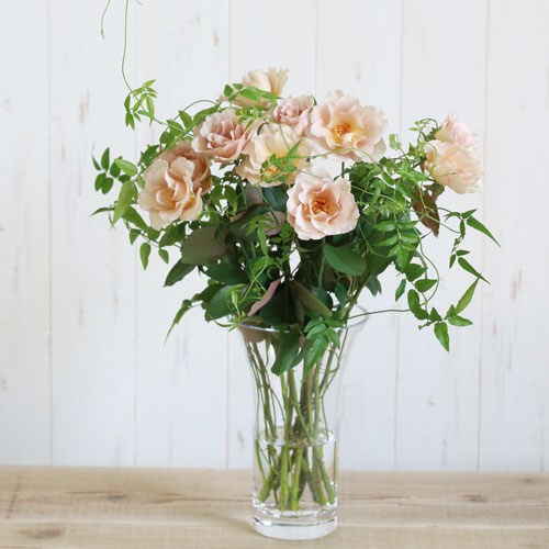 LSA エル・エス・エーのフラワーベース 青山フラワーマーケット公式｜花屋｜花 花束 フラワーギフト｜通販