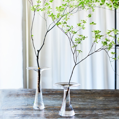 Rasteli(ラステリ)/Toadstool L | 青山フラワーマーケット｜花束