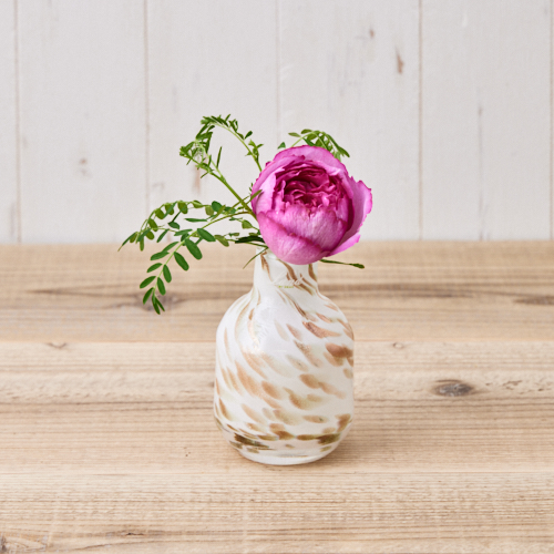 Henry Dean ヘンリーディーン V Barbat Xs Perlino 青山フラワーマーケット公式 花屋 花 花束 フラワーギフト 通販