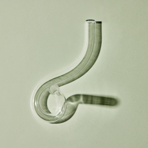 青山フラワーマーケット/FLOWER TUBE「ん」 | 青山フラワーマーケット