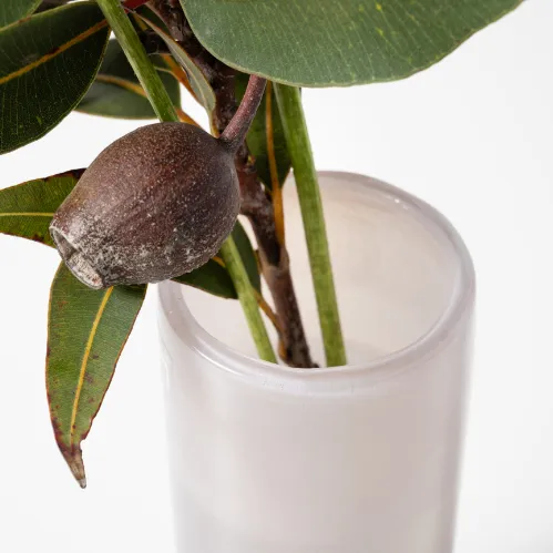 Henry Dean(ヘンリーディーン)/Pipe S ゼフィーロ | 青山フラワー