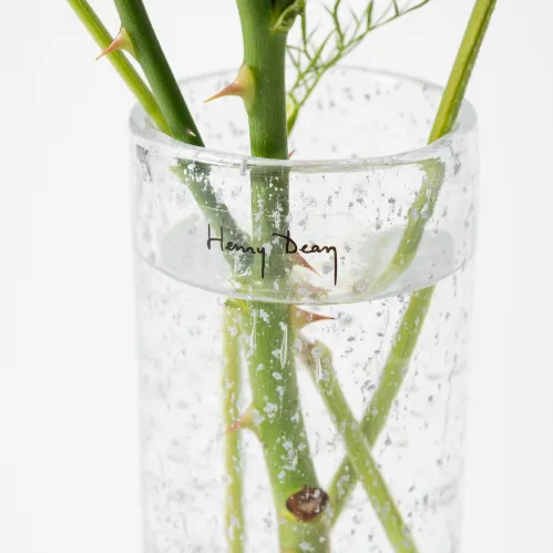 Henry Dean(ヘンリーディーン)/Pipe S シルバー | 青山フラワー