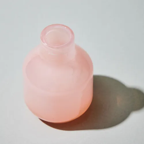 Henry Dean(ヘンリーディーン)/Barbat XS ピーチ | 青山フラワー