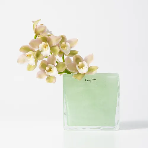 Henry Dean(ヘンリーディーン)/Square XS ミント | 青山フラワー