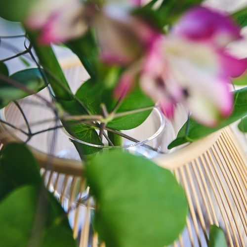 公長齋小菅/駿河千筋つぼみ花入 L | 青山フラワーマーケット｜花