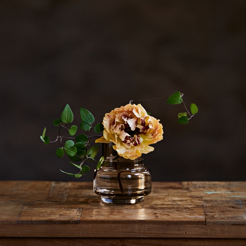 Ro Collection(ロー・コレクション)/ハリケーンティーライトno.25