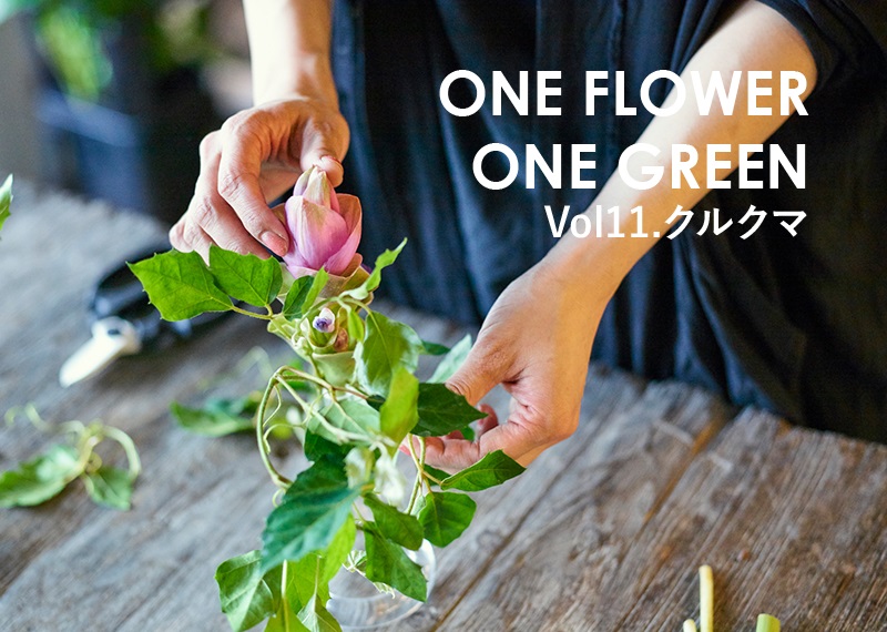 花 フラワーギフトなら青山フラワーマーケット コラム One Flower One Green クルクマ 青山フラワーマーケット公式 花屋 花 花束 フラワーギフト 通販