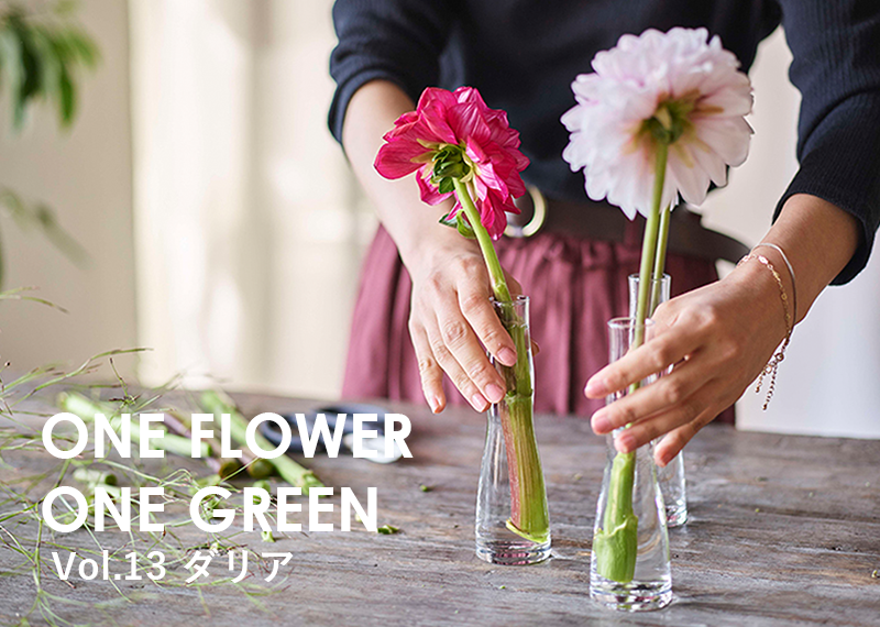 コラム-ONE FLOWER ONE GREEN | ダリア|花・フラワーギフトなら青山