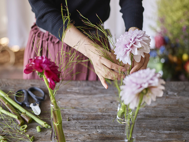 コラム-ONE FLOWER ONE GREEN | ダリア|花・フラワーギフトなら青山