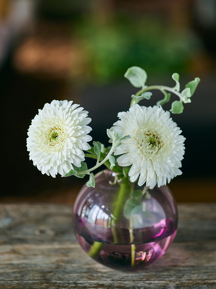 コラム One Flower One Green ガーベラ ヘリクリサム 花 フラワーギフトなら青山フラワーマーケット 青山フラワーマーケット公式 花屋 花 花束 フラワーギフト 通販 コラム One Flower One Green ガーベラ ヘリクリサム 花 フラワーギフトなら青山フラワーマーケット 青山フラワーマーケット公式 花屋 花 花束 フラワーギフト 通販