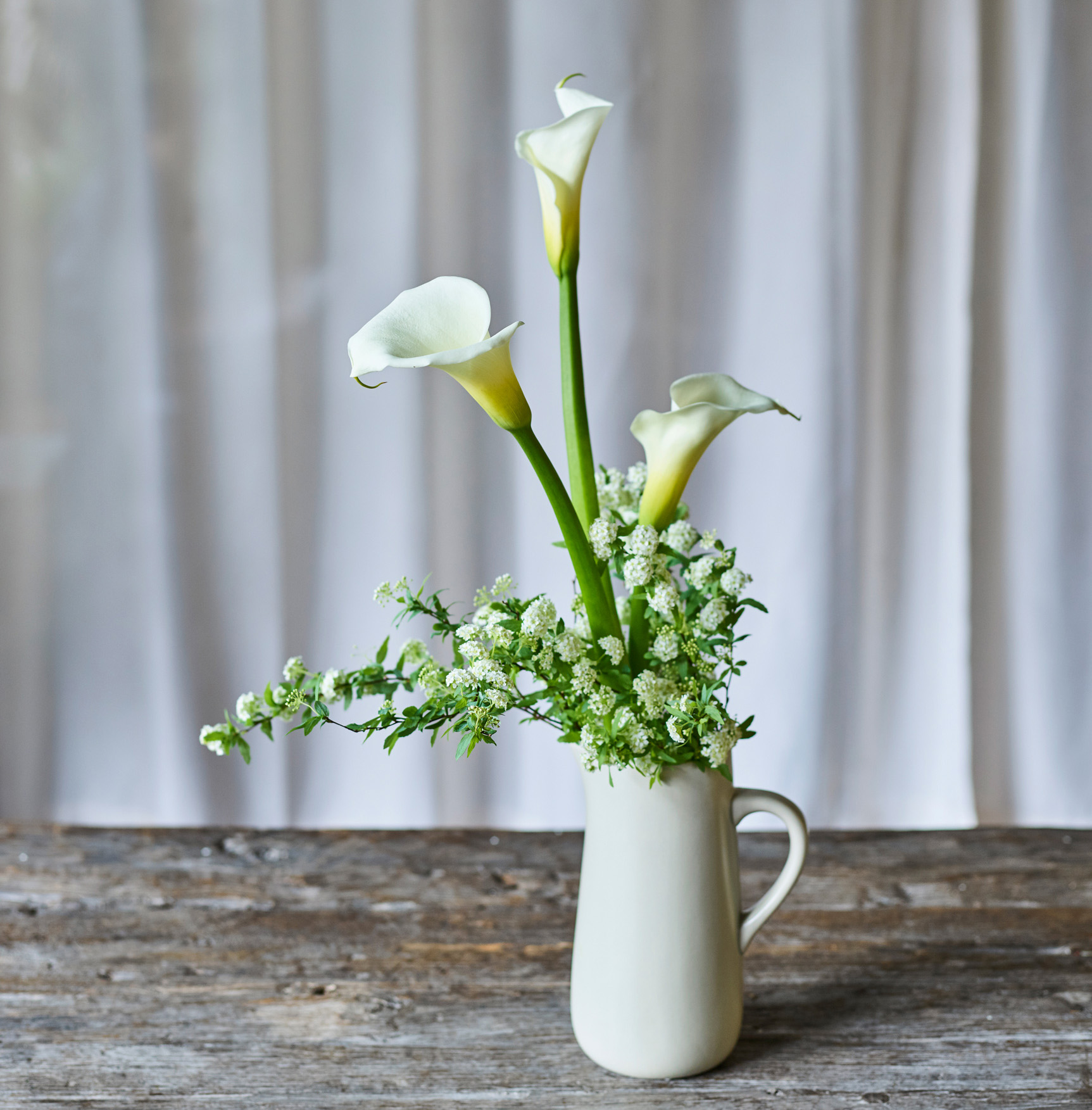 コラム One Flower One Green カラー コデマリ 花 フラワーギフトなら青山フラワーマーケット 青山フラワーマーケット公式 花屋 花 花束 フラワーギフト 通販