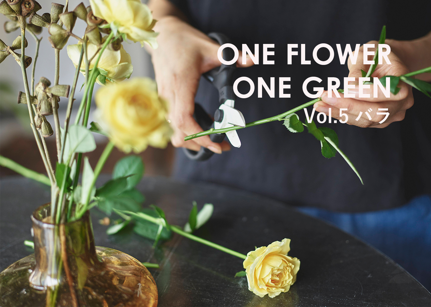 コラム One Flower One Green バラ ガムナッツ 花 フラワーギフトなら青山フラワーマーケット 青山フラワーマーケット公式 花屋 花 花束 フラワーギフト 通販