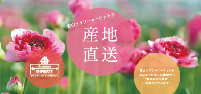 どこよりも早く、フレッシュな花をお届け。産地直送の花｜青山フラワー