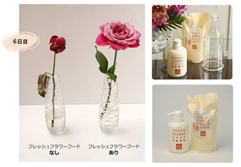 ケアグッズ（シザー＆ナイフ）|花・花束・フラワーギフトの青山