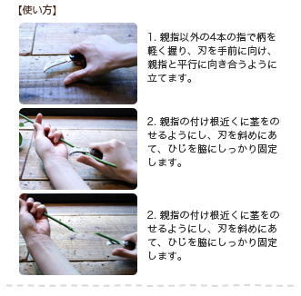 ケアグッズ（シザー＆ナイフ）|花・花束・フラワーギフトの青山