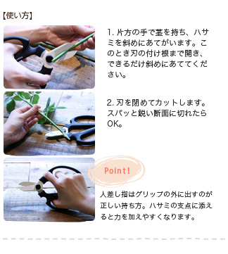 ケアグッズ（シザー＆ナイフ）|花・花束・フラワーギフトの青山