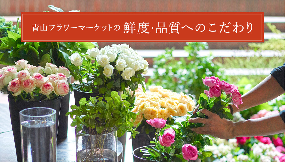 鮮度 品質のこだわり 花 花束 フラワーギフトの青山フラワーマーケット 全国の花屋 店舗情報 通販サイト
