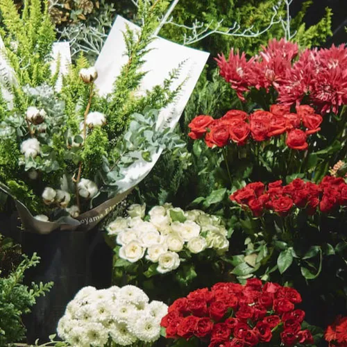 クリスマスの花ギフト・プレゼント特集2025｜青山フラワーマーケット