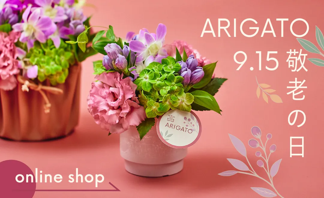 敬老の日の花ギフト・プレゼント特集2025｜青山フラワーマーケット