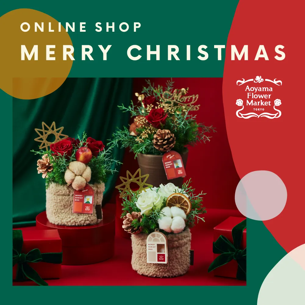 クリスマスの花ギフト・プレゼント特集2025|青山フラワーマーケット クリスマスの花ギフト・プレゼント特集2025|青山フラワーマーケット