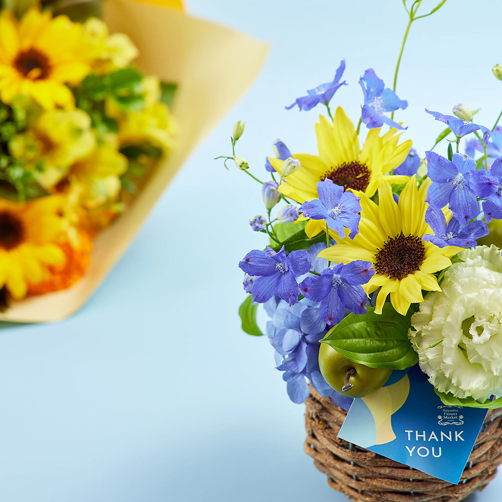 【父の日ギフト】青とんぼ　１．８L　 １ケース（６本入） 青とんぼ 25度1800ml 【小鹿酒造】芋焼酎 ,| 焼酎のひご屋 本店