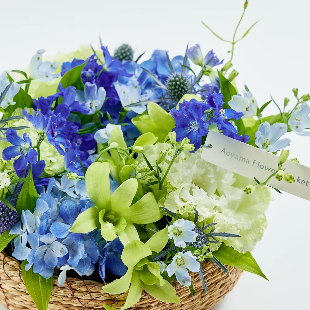 6月の花ギフト特集2025［ジューンブライド・結婚祝い・結婚記念