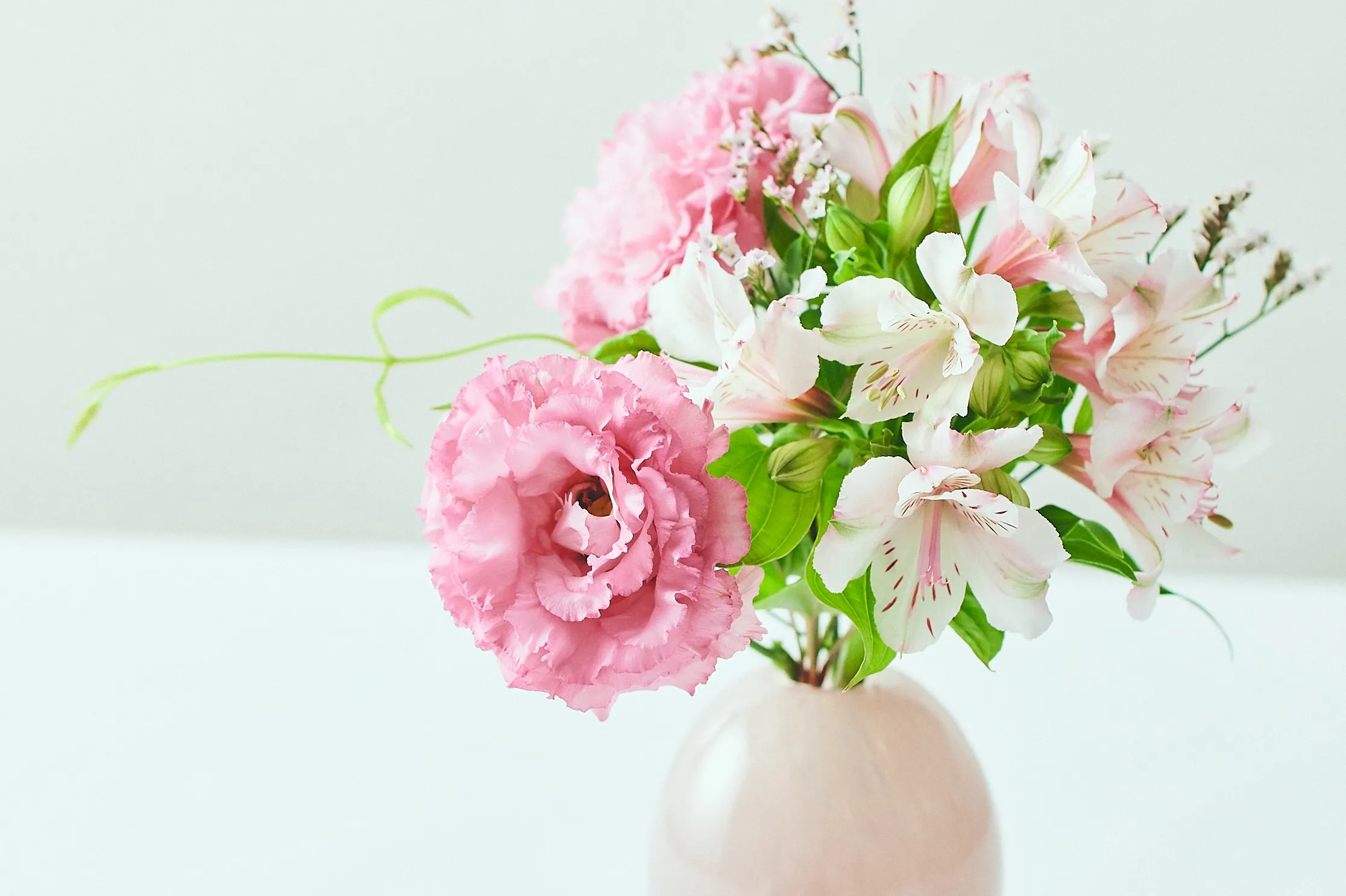 夏の花ギフト・お中元ギフト特集2025［お盆の迎え花も］｜青山フラワー