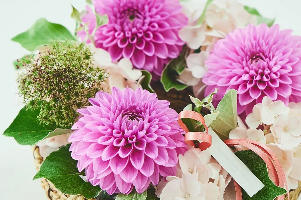 夏の花ギフト・お中元ギフト特集2025［お盆の迎え花も］｜青山フラワー