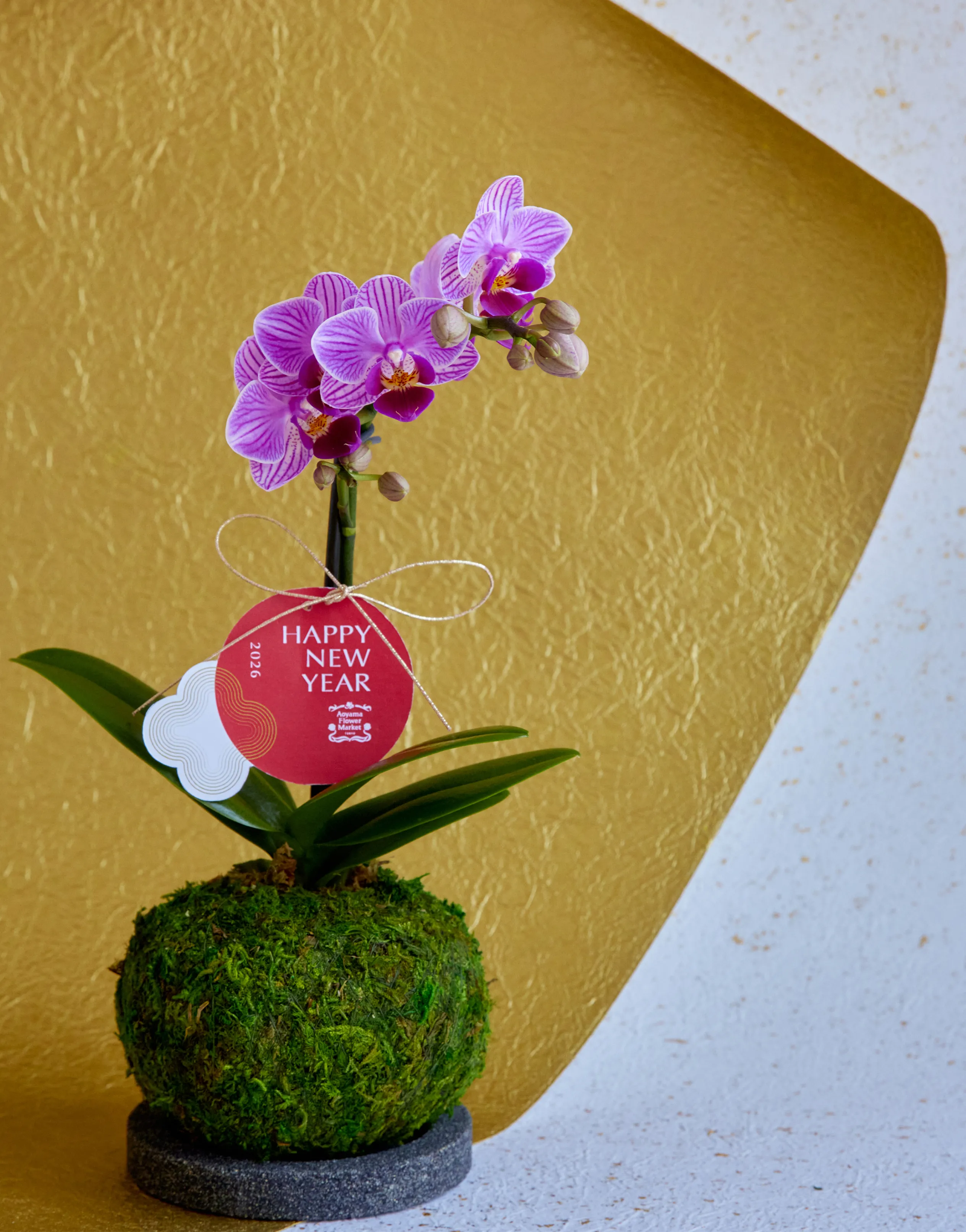 お正月に飾る花 ・お正月飾り特集2026｜青山フラワーマーケット