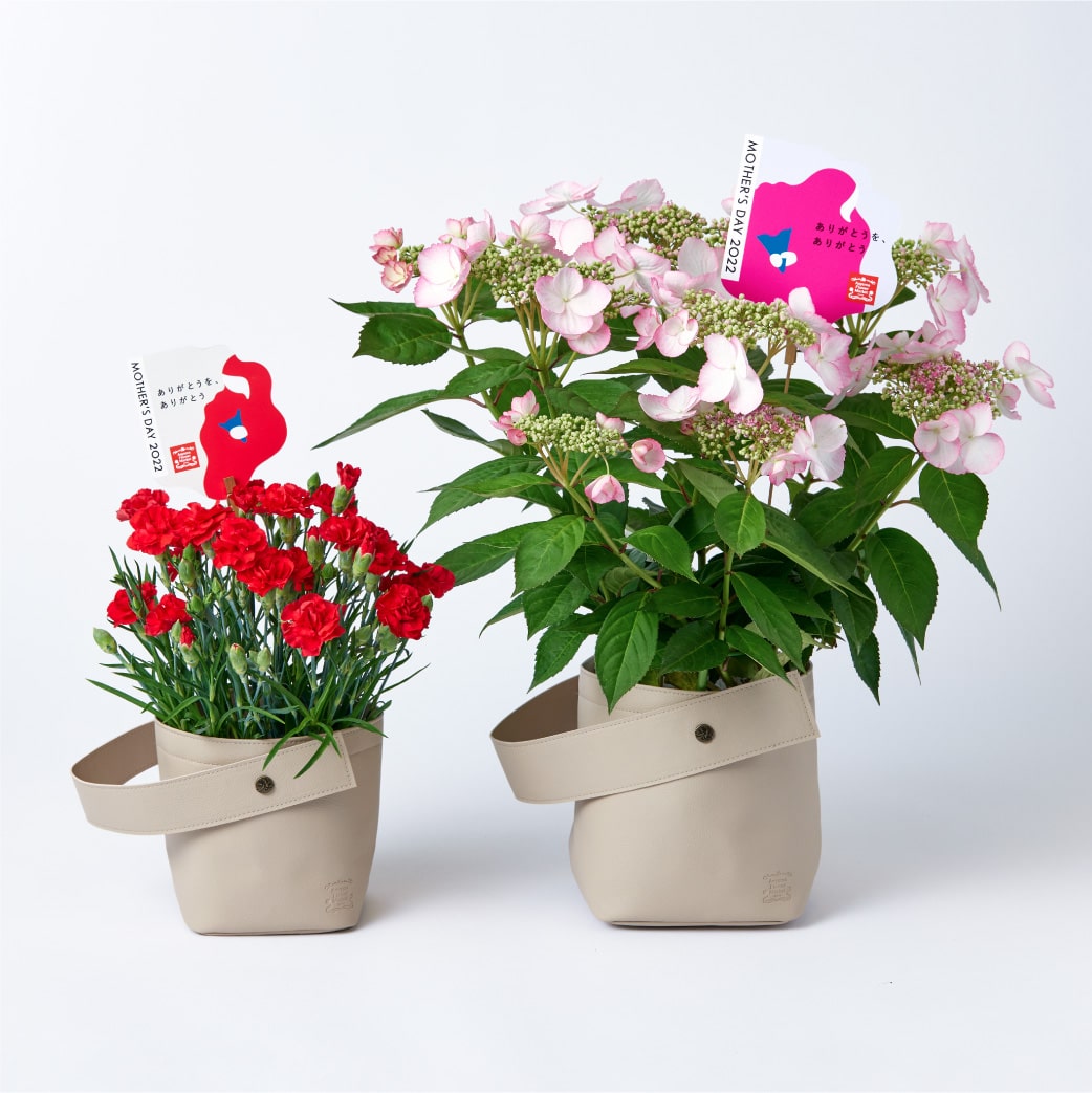 道の駅 みのりの郷東金 千葉県東金市 Sajy人工カーネーションシルクフラワーブライダルアジサイホーム母の 先生の日 Ciudaddelmaizslp Gob Mx