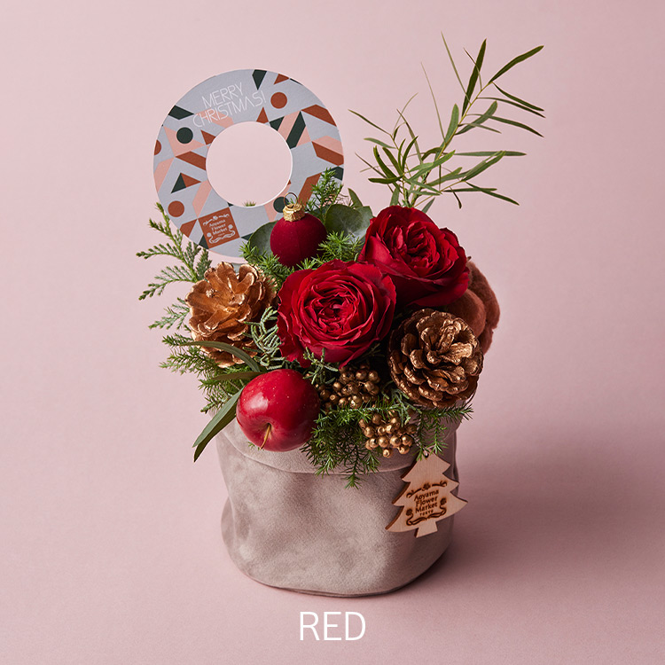 開店記念セール 青山フラワーマーケット ミニ クリスマスリース 年中行事 開店記念セール 青山フラワーマーケット ミニ クリスマスリース 年中行事