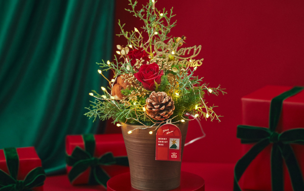 2025 Merry Christmas 暖かくて、温かい。｜青山フラワーマーケット