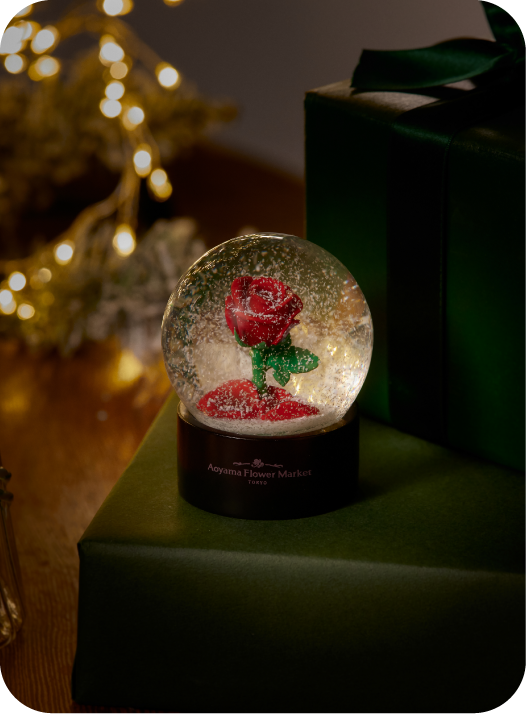 2025 Merry Christmas 暖かくて、温かい。|青山フラワーマーケット 2025 Merry Christmas 暖かくて、温かい。|青山フラワーマーケット