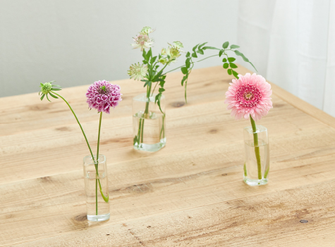 2WEEK FLOWERS 2週間に1回のお花で日々の生活に彩りと潤いを ｜花