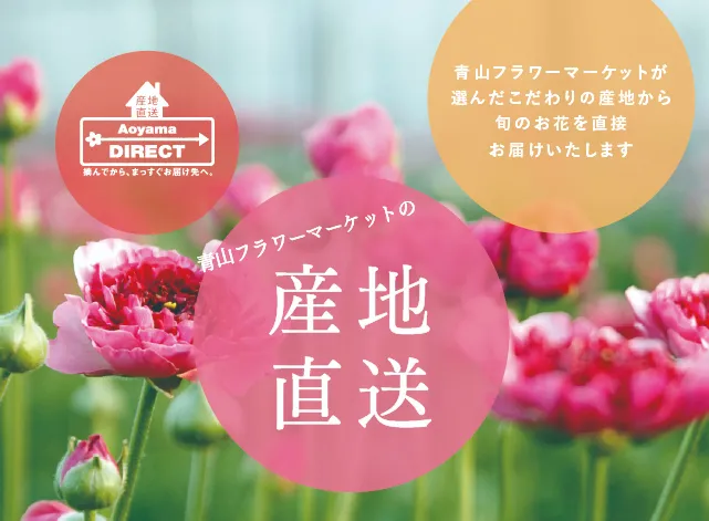 青山フラワーマーケット|花や緑とともに暮らす毎日を 青山フラワーマーケット|花や緑とともに暮らす毎日を