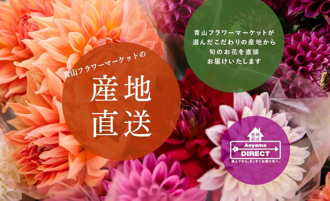 青山フラワーマーケット｜花束・ギフトのオンラインショップ