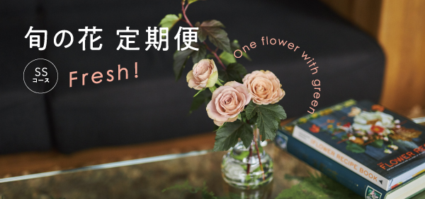 青山フラワーマーケット公式 花屋 花 花束 フラワーギフト 通販 青山フラワーマーケット公式 花屋 花 花束 フラワーギフト 通販