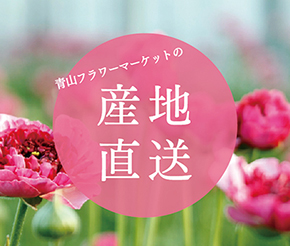 小物窯（澁谷仁太郎・澄子） 花瓶 共箱共布栞 花入 花器 フラワーベース 華道具 フラワーベース・花瓶 | 青山フラワーマーケット | 青山フラワー