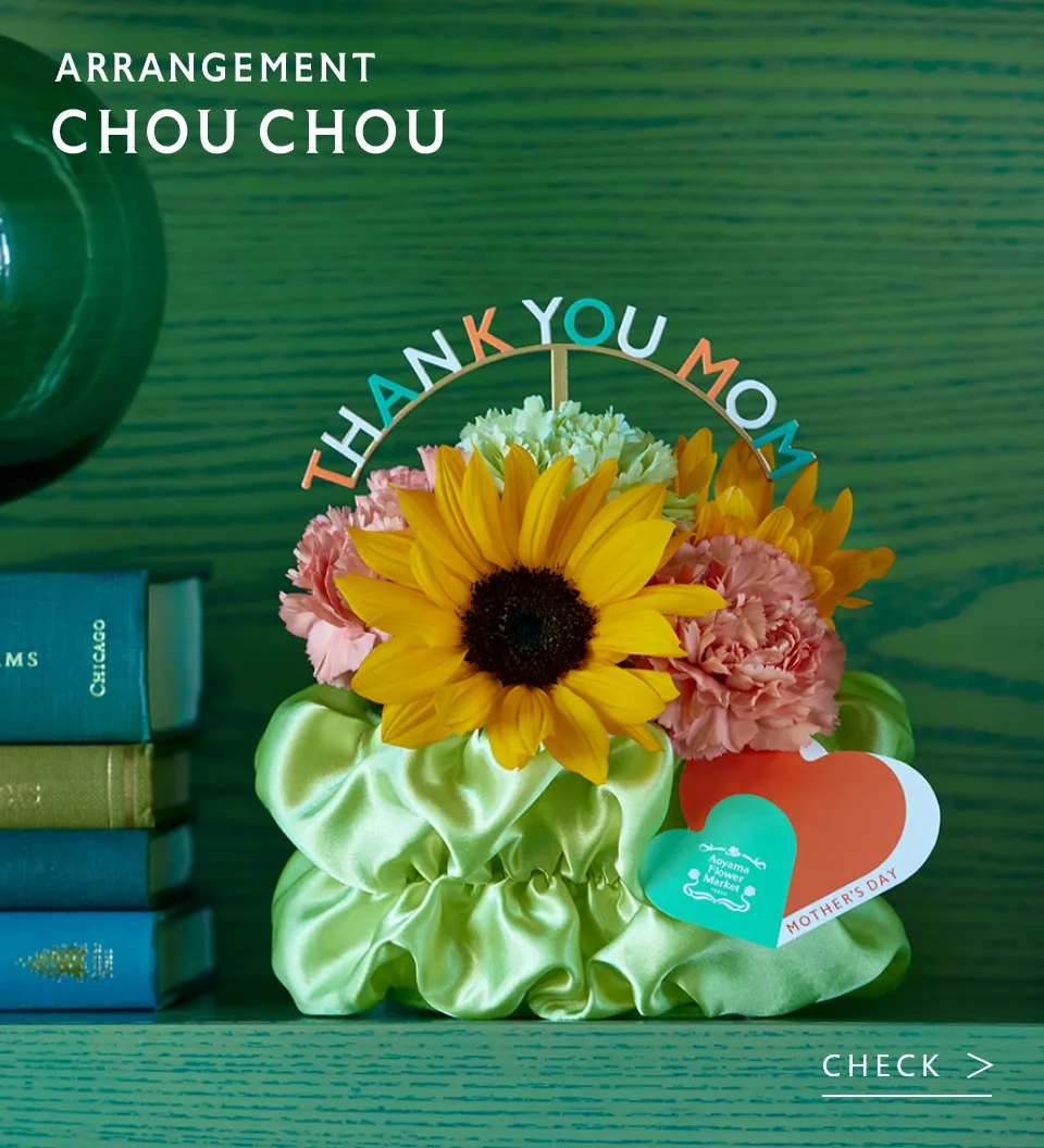 Arrangement Chou Chou