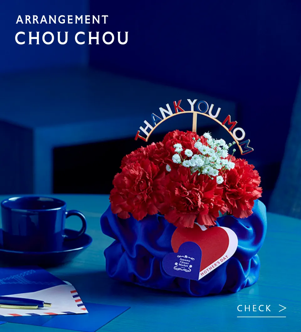 Arrangement Chou Chou