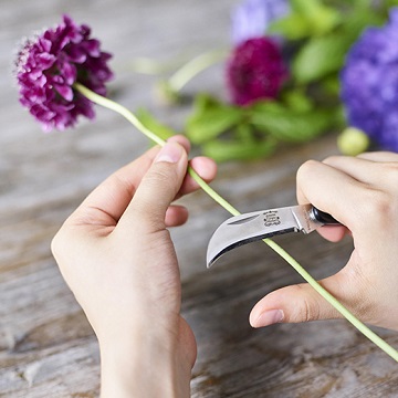 花・フラワーギフトなら青山フラワーマーケット | コラム-長もちの秘訣