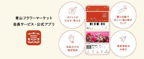 STEP4:内容を確認し「送信する」をタップ